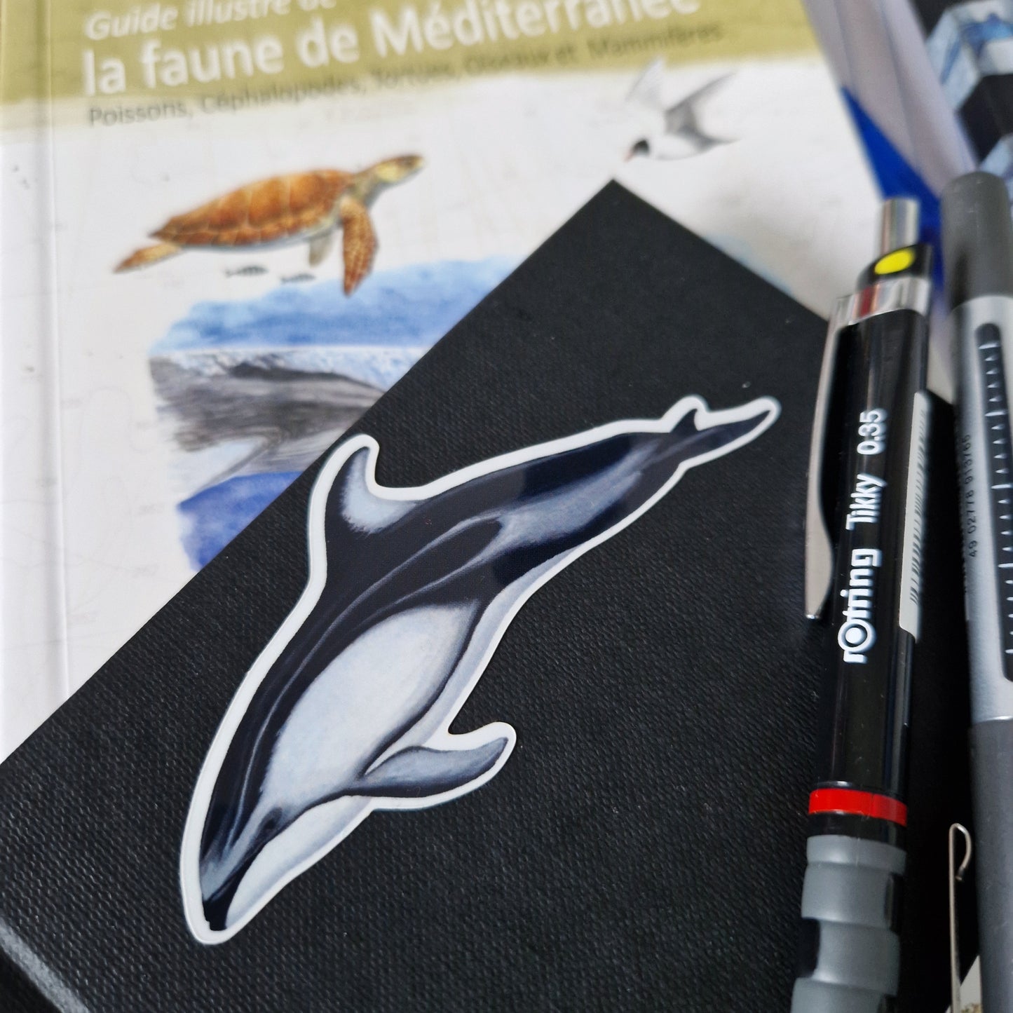 Pacific White Sided Dolphin Sticker