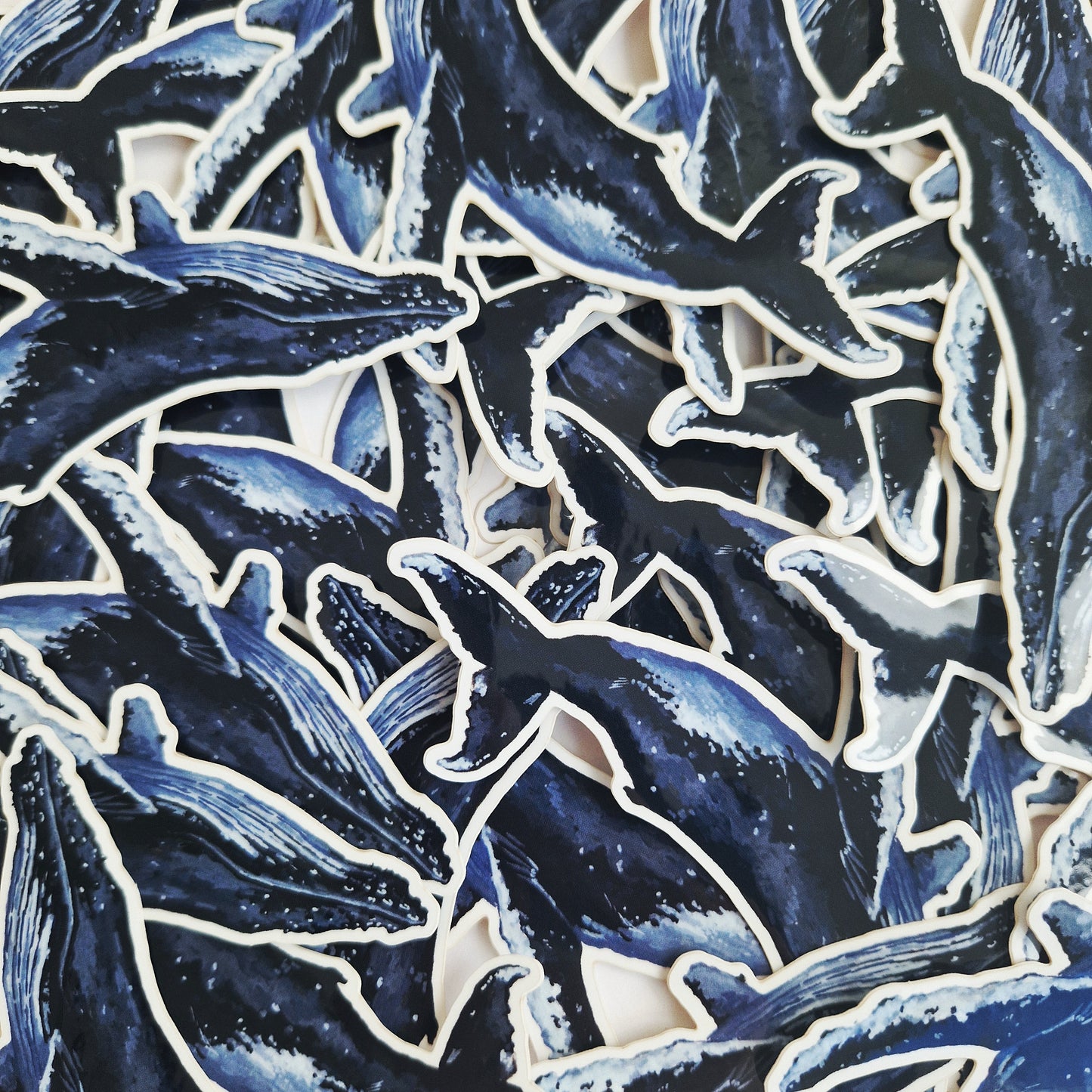 Humpback Whale Sticker