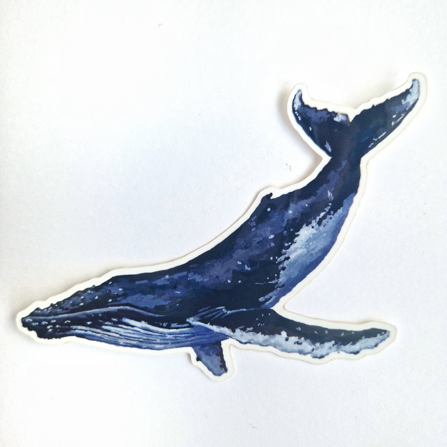 Humpback Whale Sticker