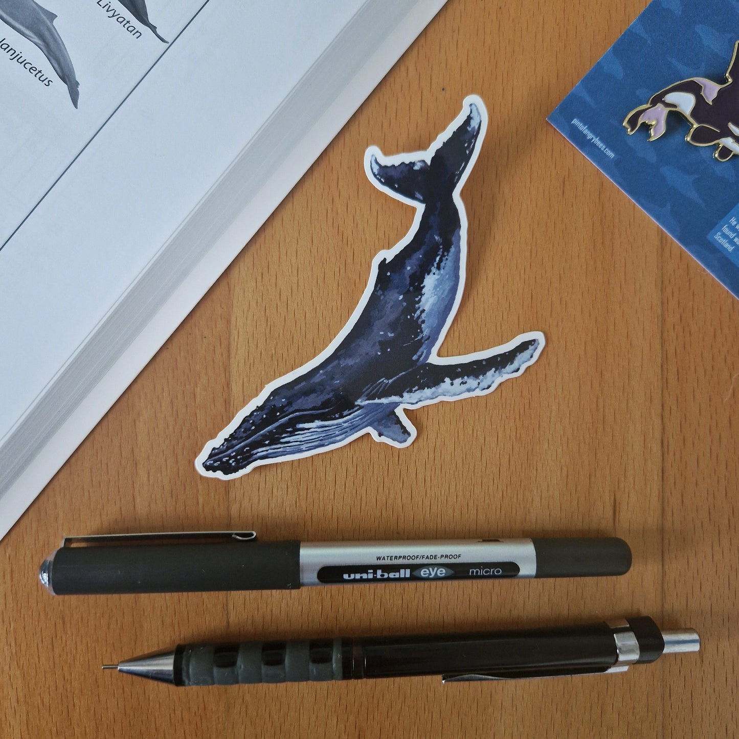 Humpback Whale Sticker