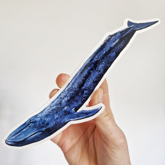 Blue Whale Sticker
