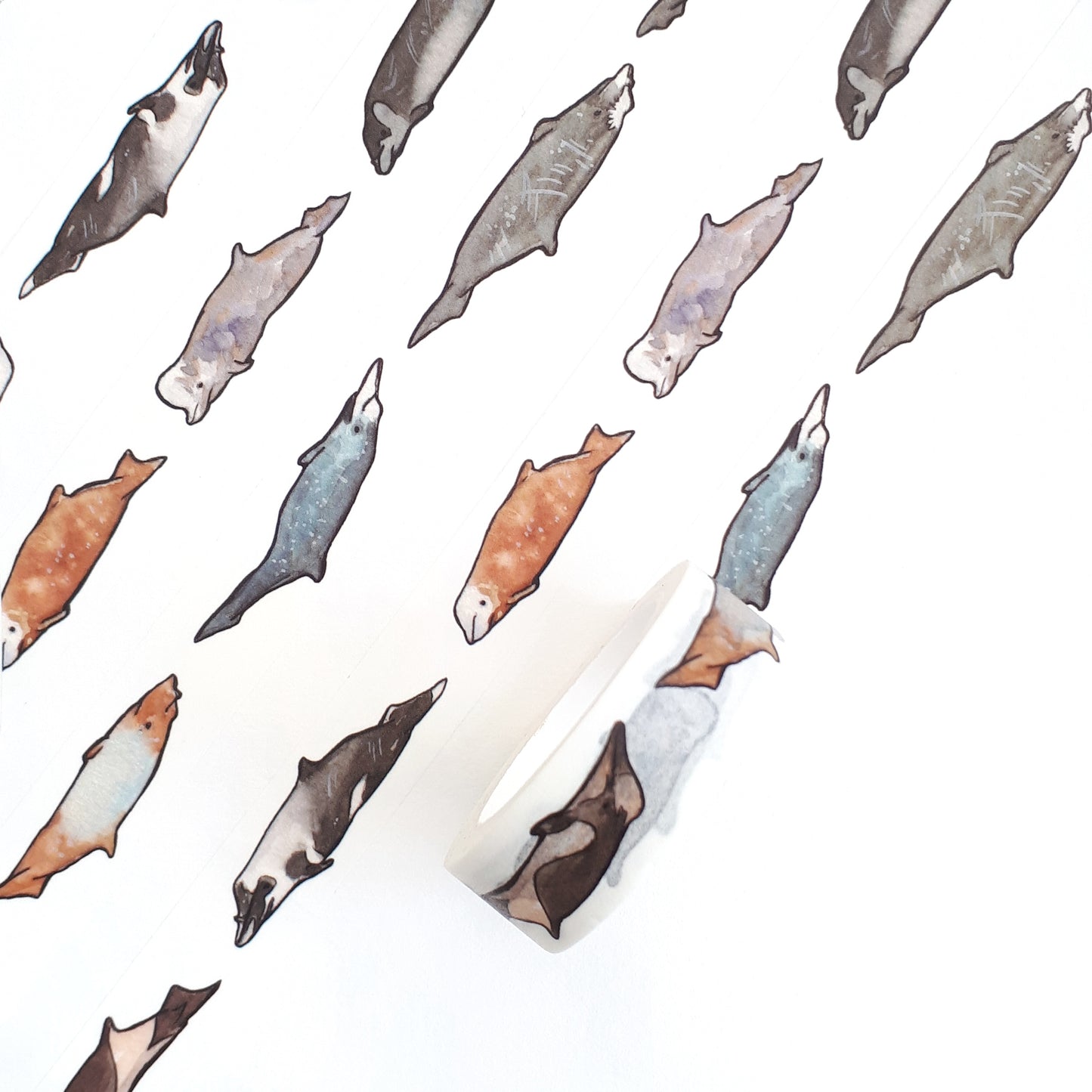 Beaked Whale Washi Tape