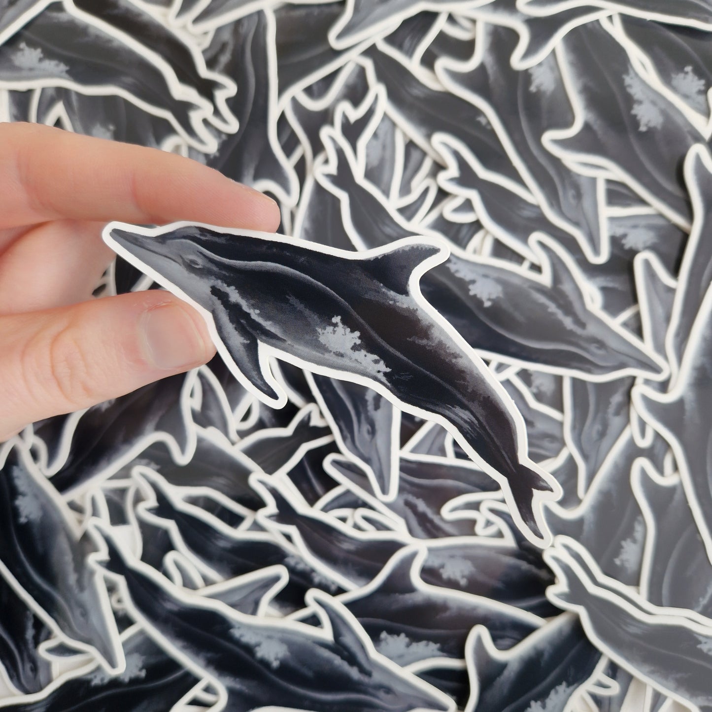 Rough Toothed Dolphin Sticker