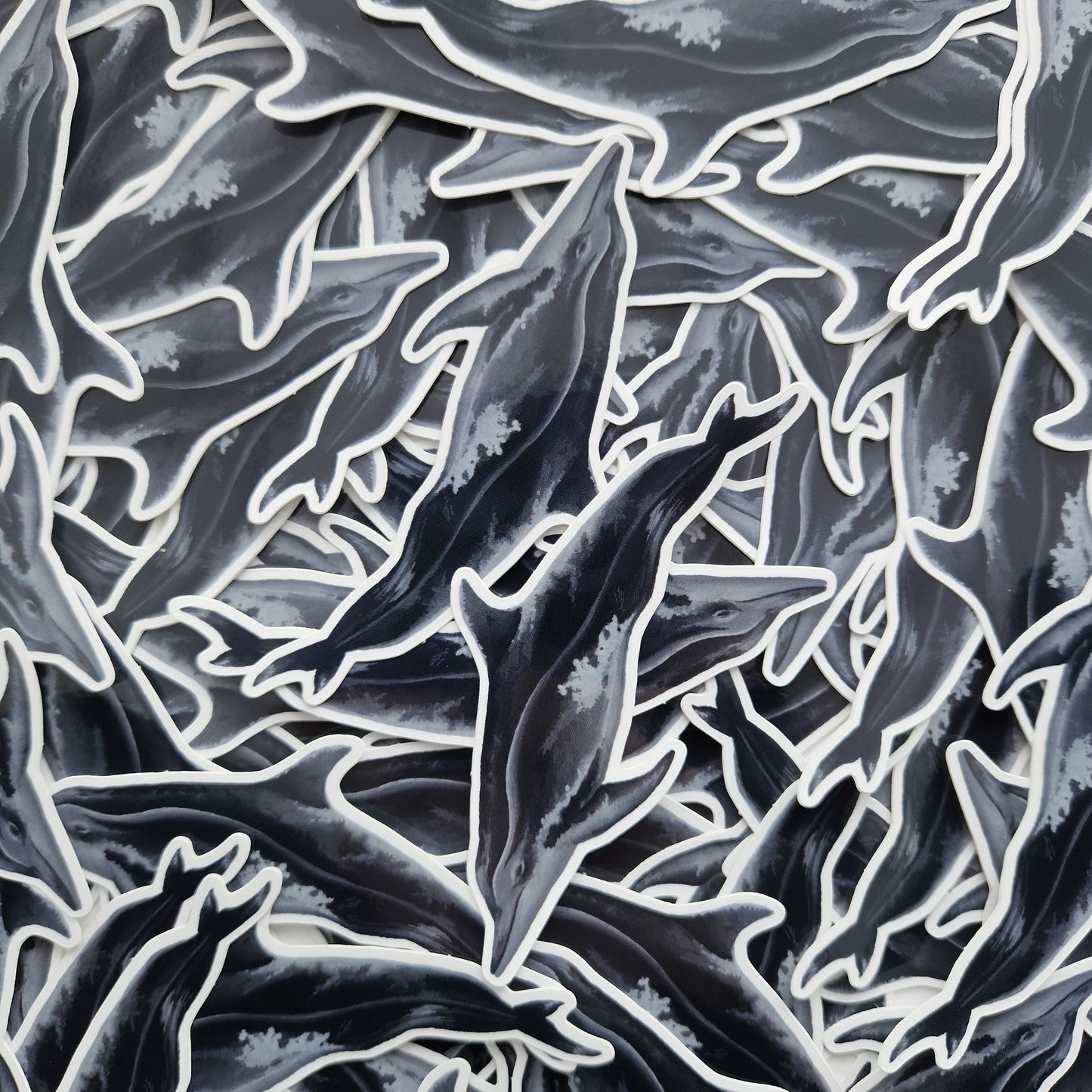 Rough Toothed Dolphin Sticker