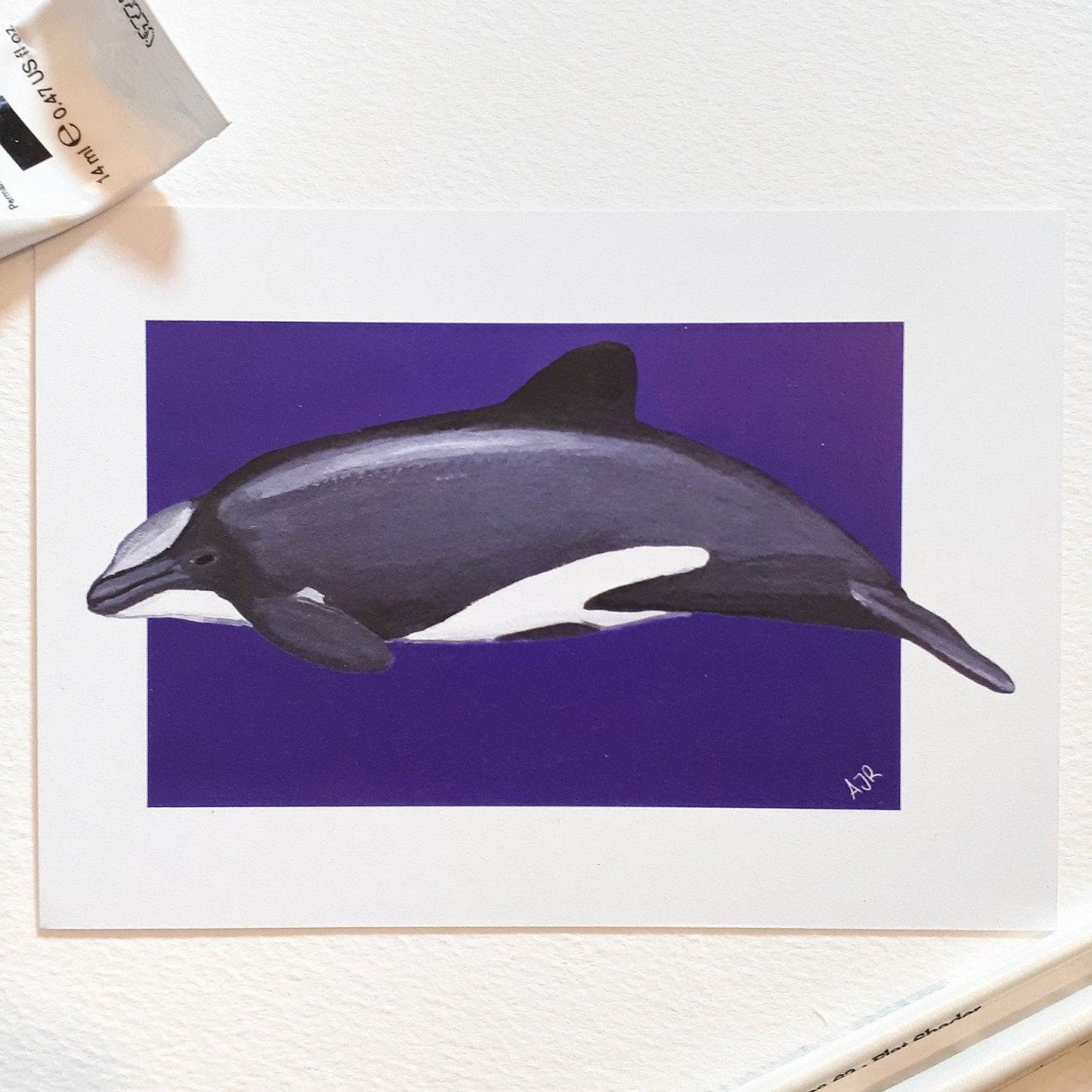 Cephalorhynchus Dolphin Prints A6