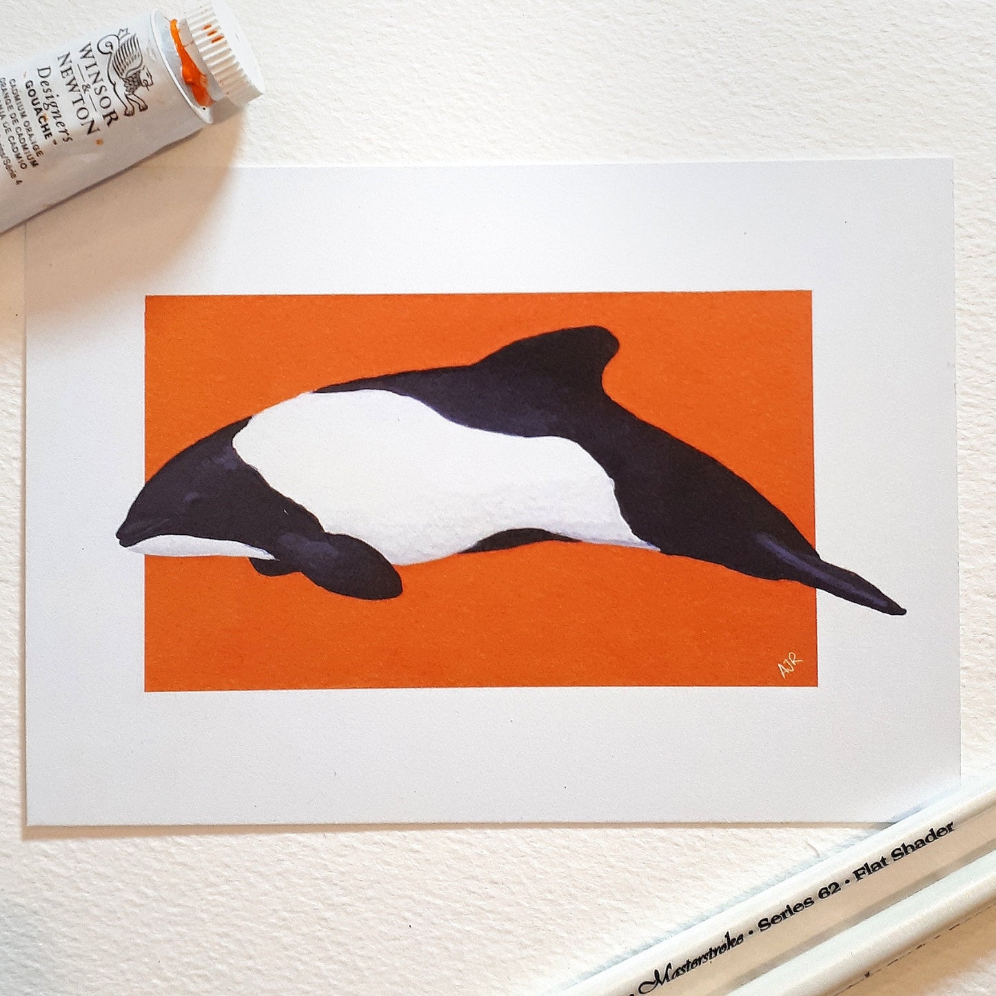 Cephalorhynchus Dolphin Prints A6