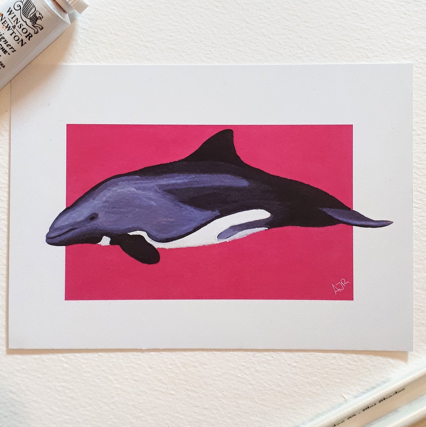Cephalorhynchus Dolphin Prints A6