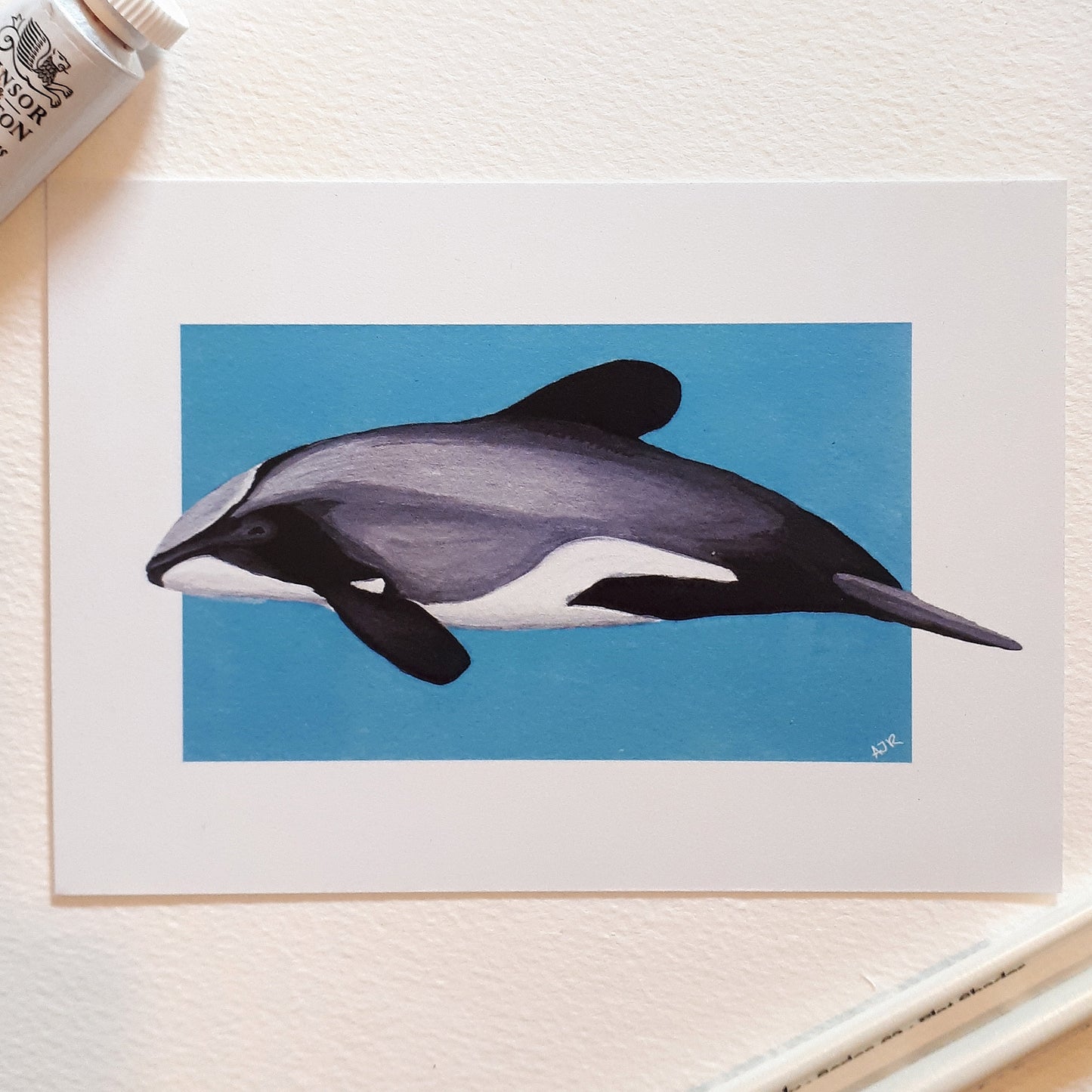 Cephalorhynchus Dolphin Prints A6