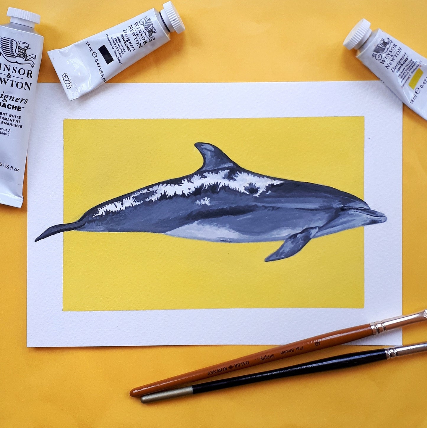 A5 Giclée Print Spirtle the Sunburned Bottlenose Dolphin