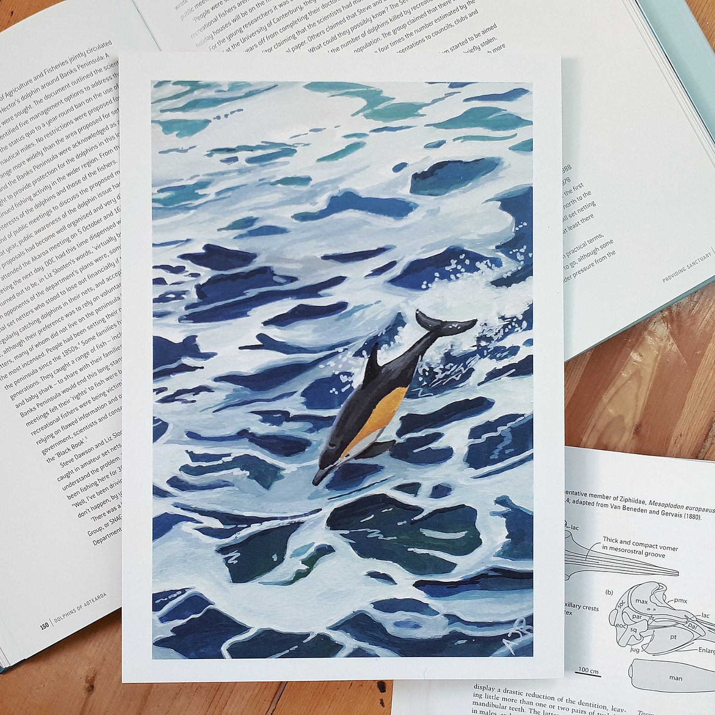 A4/A5 Print Leaping Common Dolphin