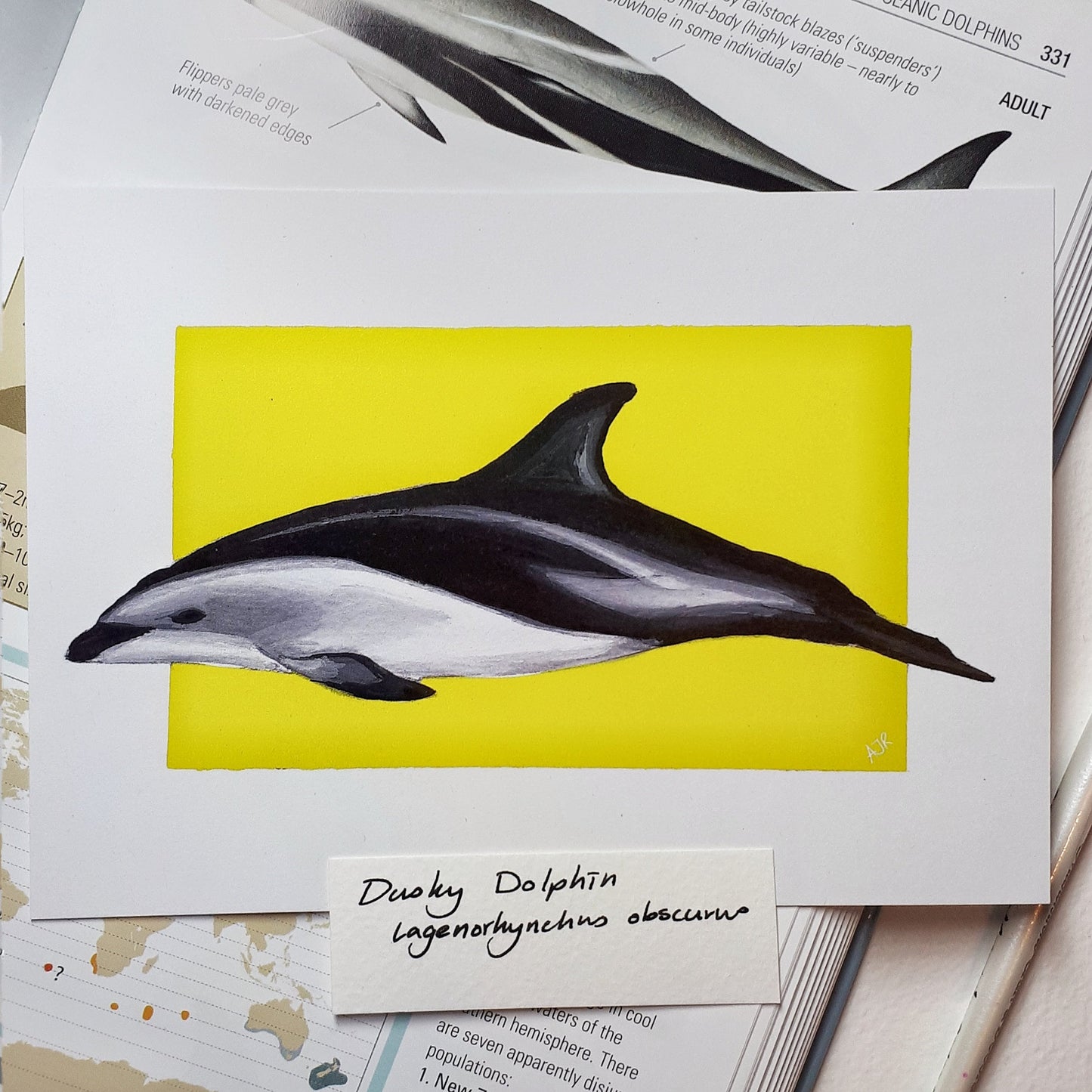 Lagenorhynchus Dolphin Prints A6