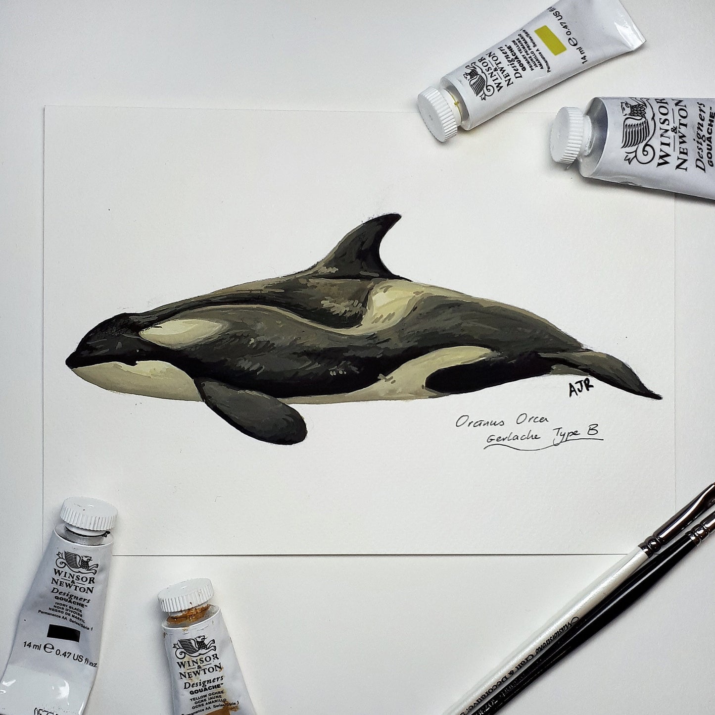 Gerlache Type B Orca Original Painting