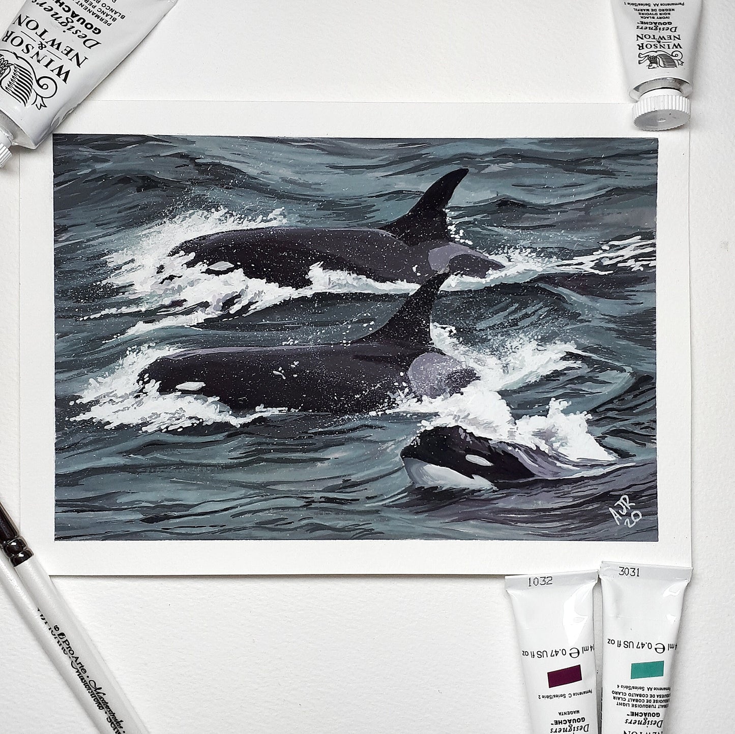 Type D Orcas Original Gouache Painting