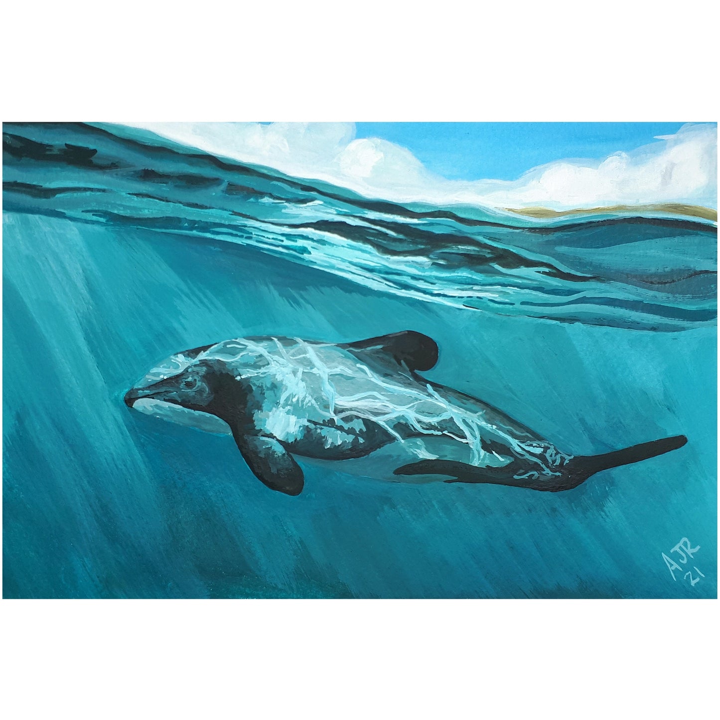 Hector's Dolphin Original A5 painting