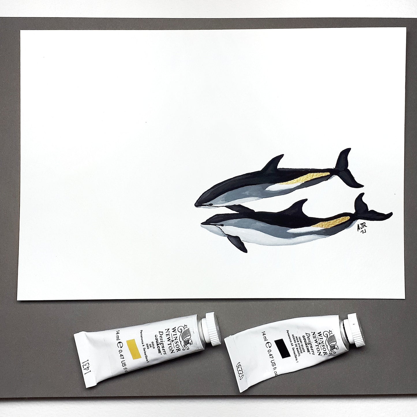 Atlantic White Sided Dolphins