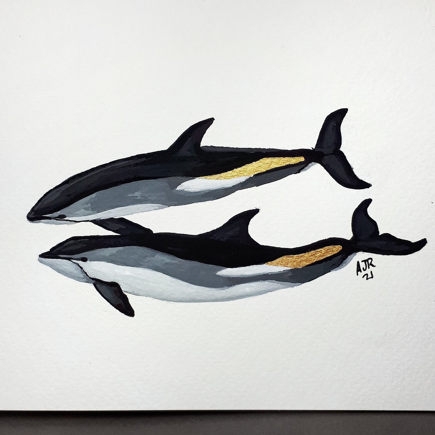 Atlantic White Sided Dolphins