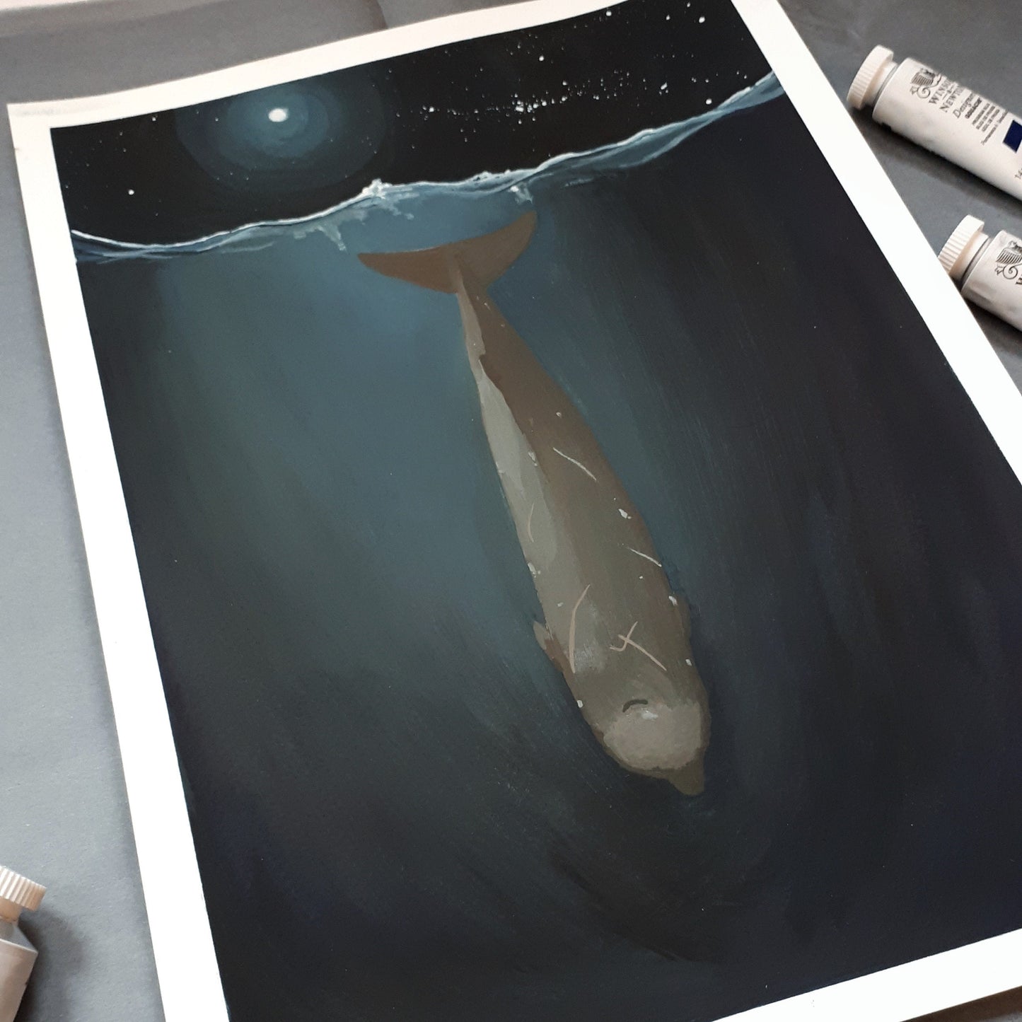 Diving Northern Bottlenose Whale