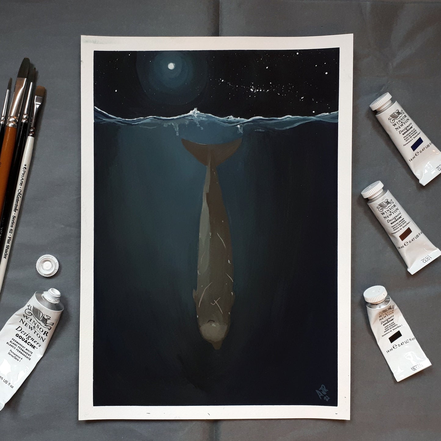Diving Northern Bottlenose Whale