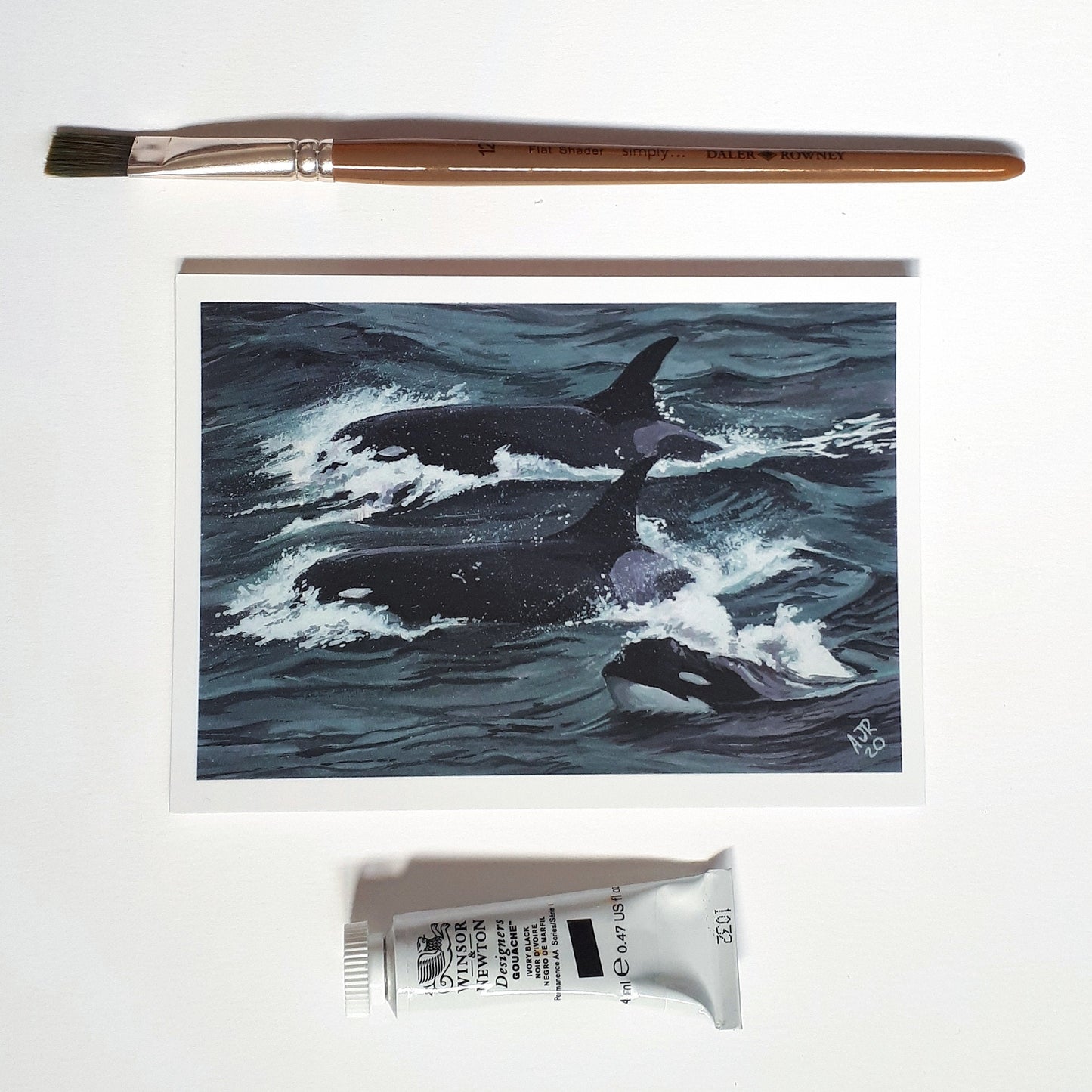 Type D Orcas A6 Postcard