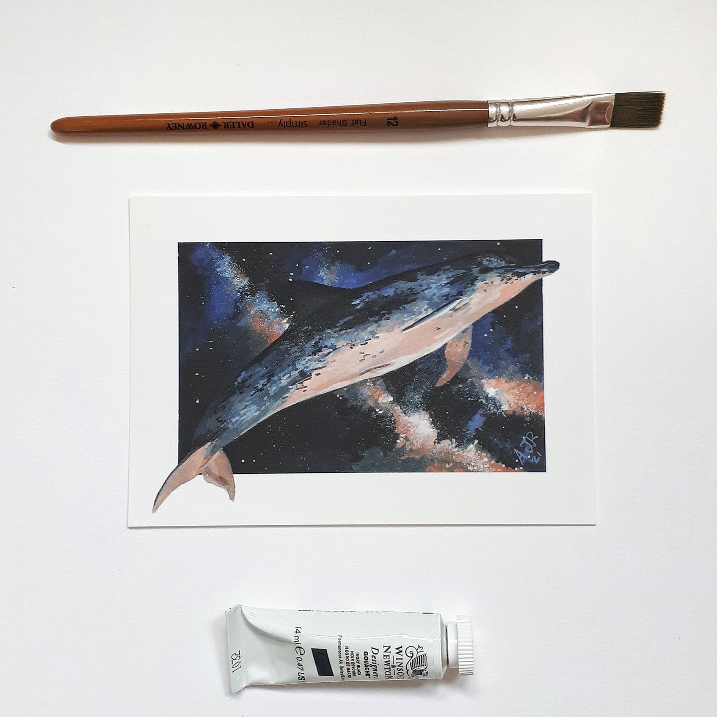 A6 postcard, Spotted dolphin in the night sky