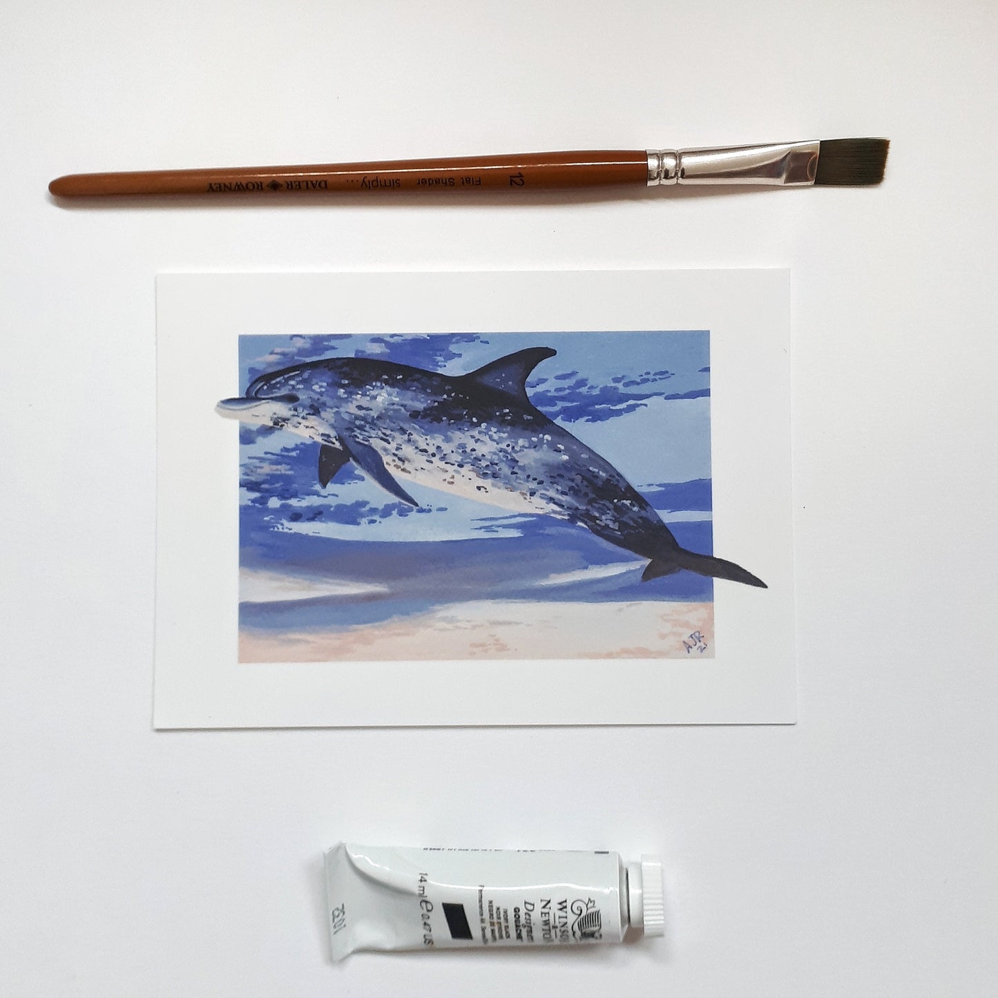 A6 Postcard, Spotted Dolphin in the Sky