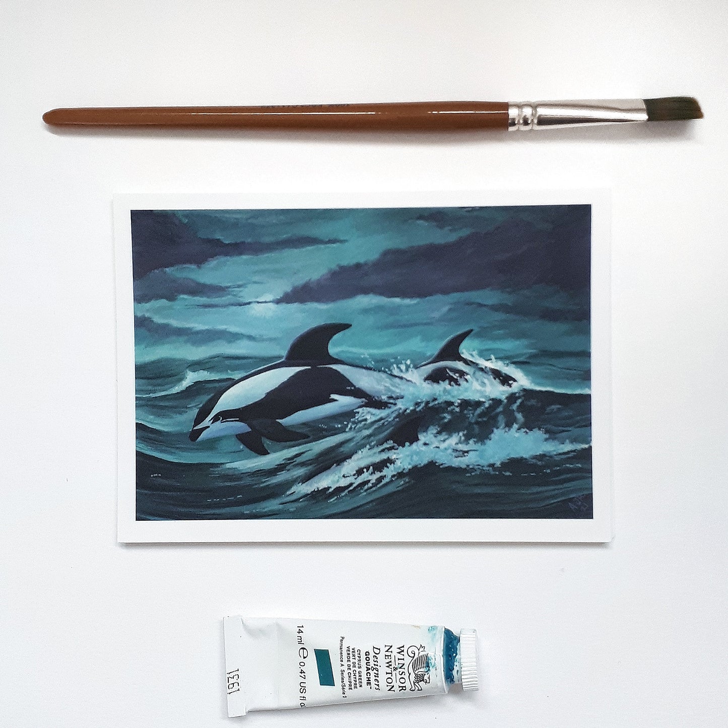 A6 Postcard, Hourglass Dolphins in Rough Seas