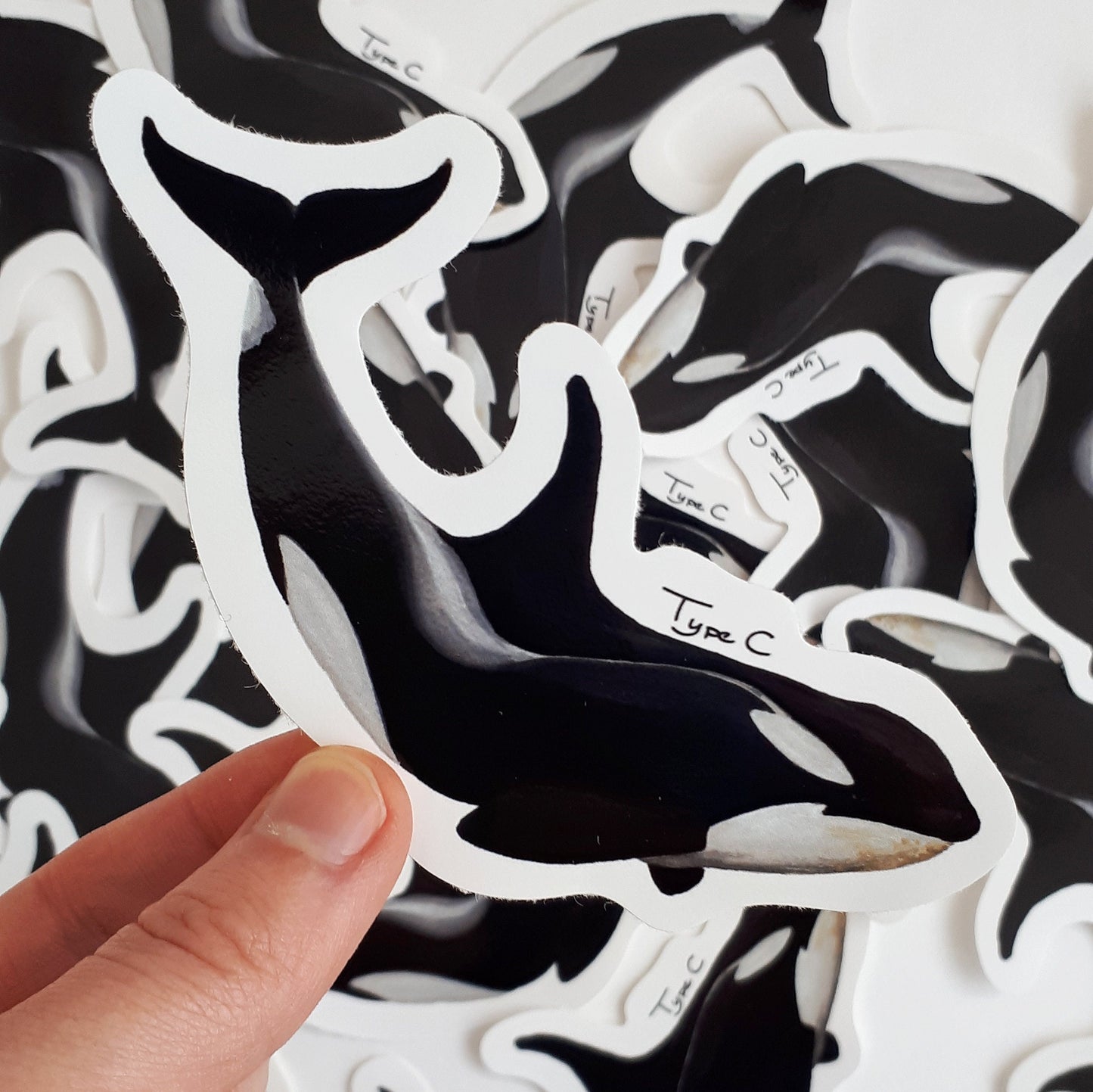 Antarctic Orca Stickers