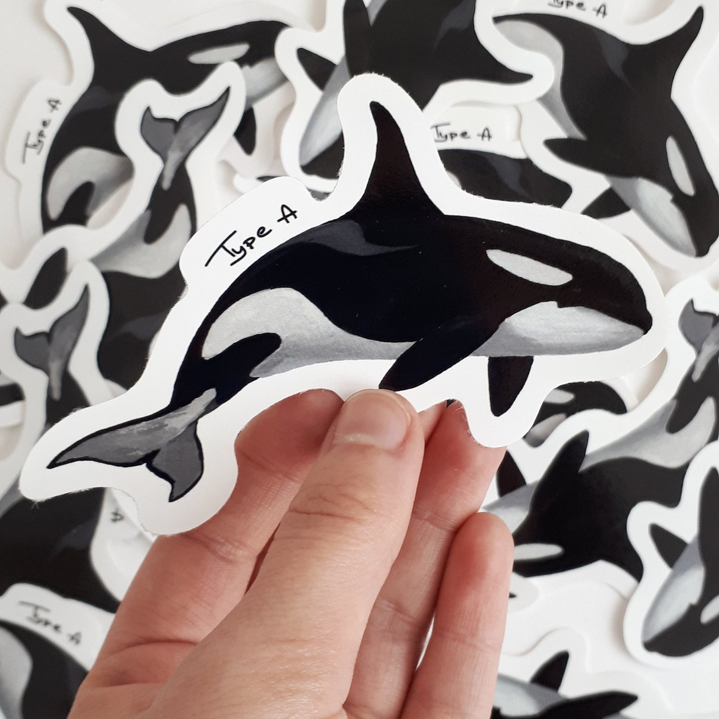 Antarctic Orca Stickers