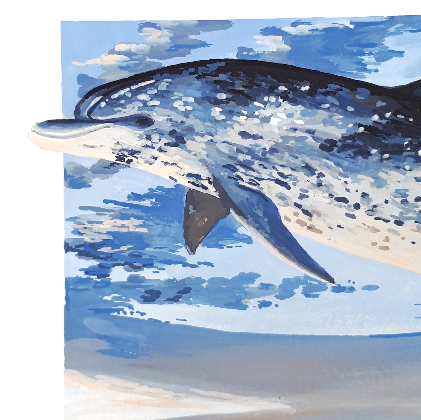 Spotted Dolphins in the Sky Original A5 Gouache Paintings