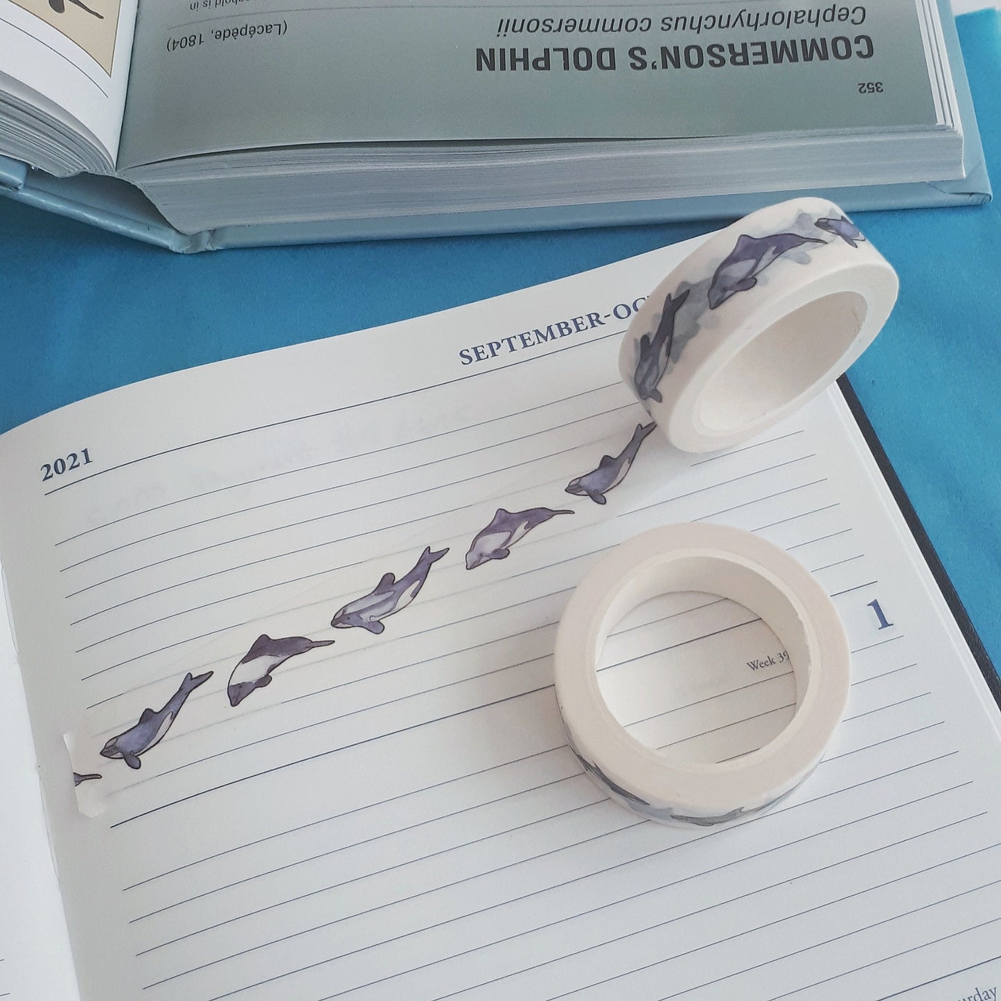 Cephalorhynchus Washi Tape