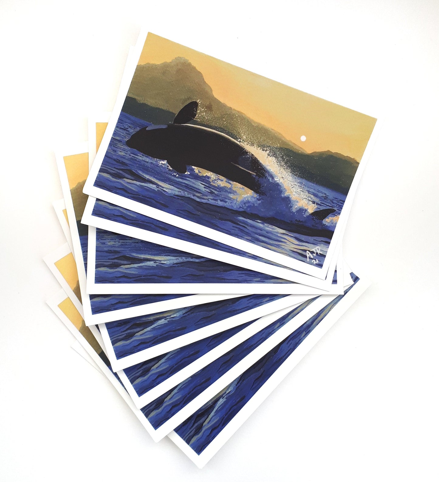 Seconds Sale Postcards A6