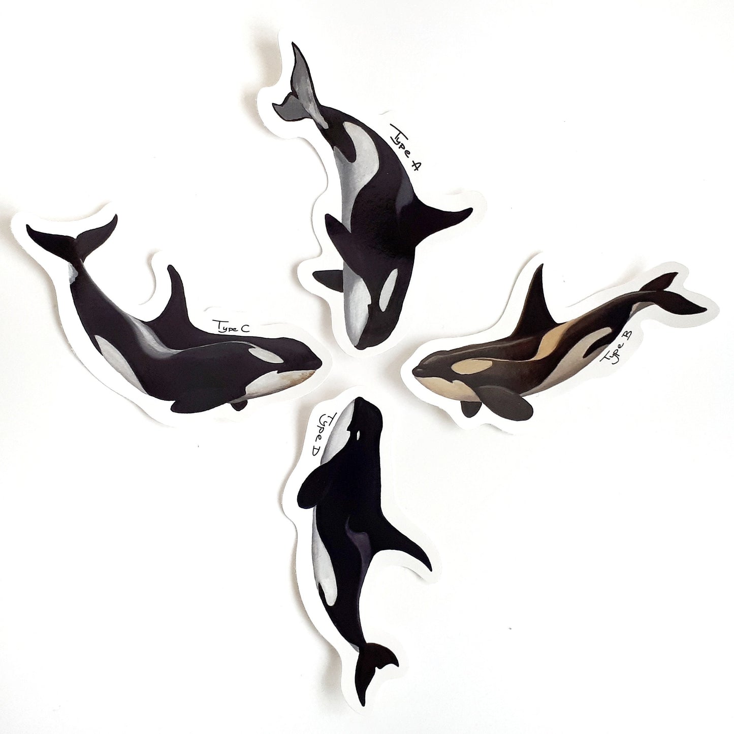 Antarctic Orca Stickers