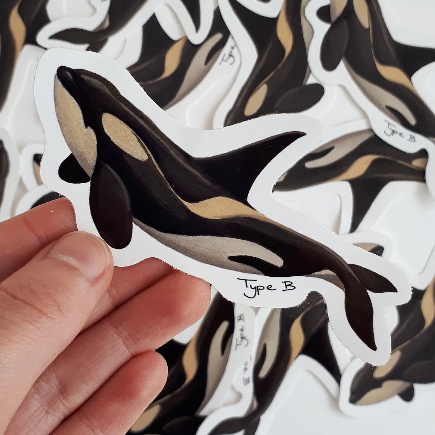Antarctic Orca Stickers