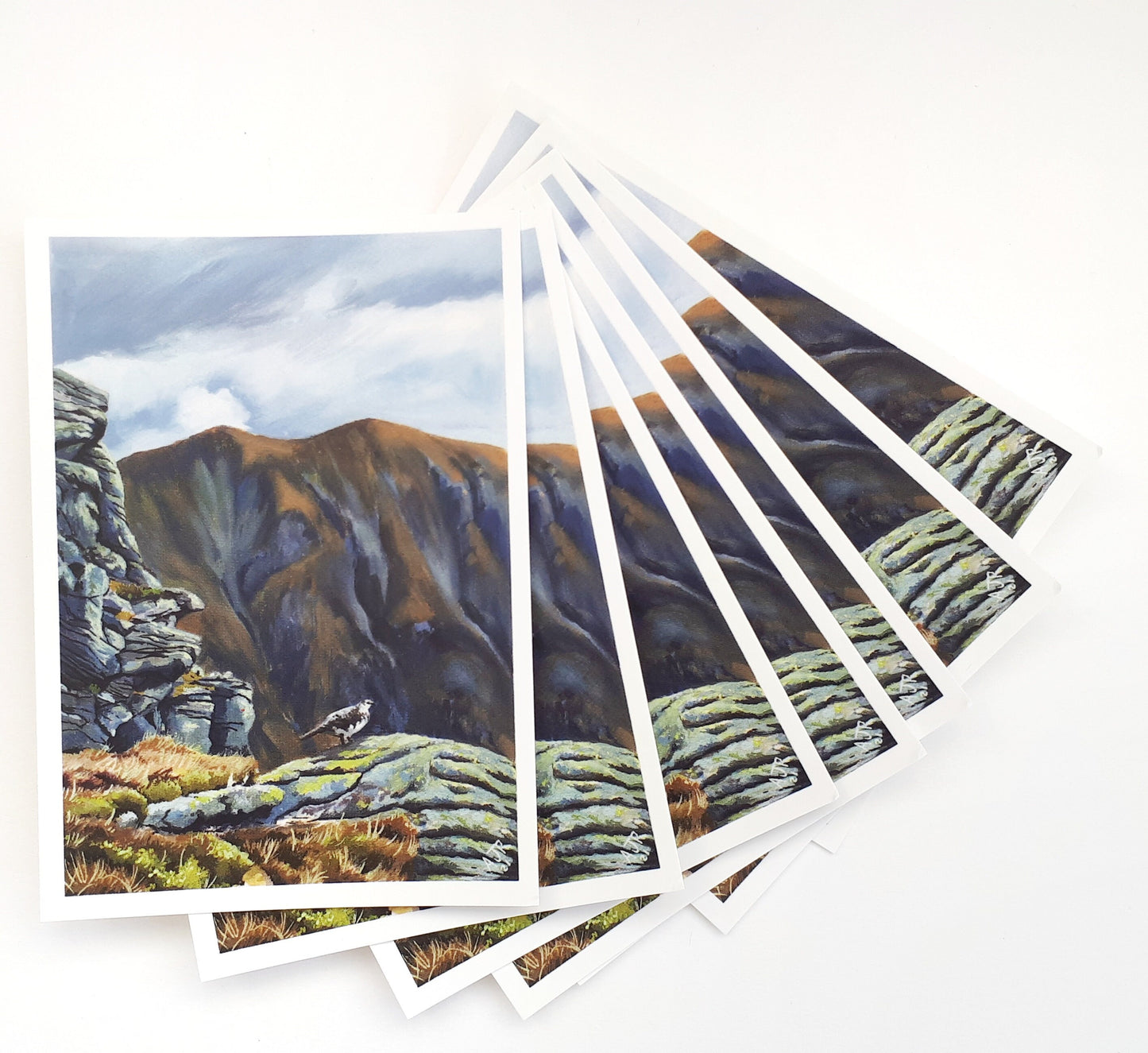 Seconds Sale Postcards A6