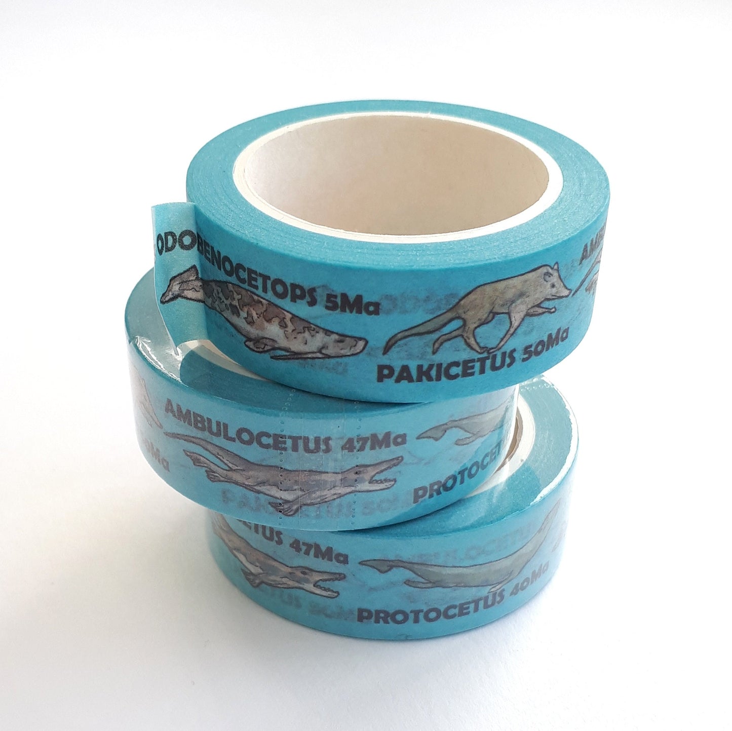 Whale Evolution Washi Tape