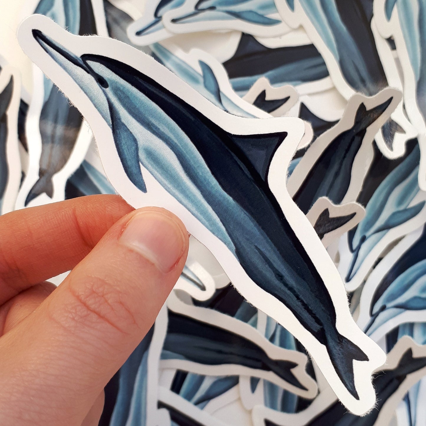 Spinner Dolphin Sticker