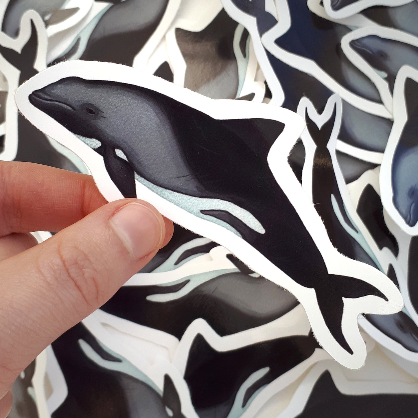 Heaviside's Dolphin Stickers