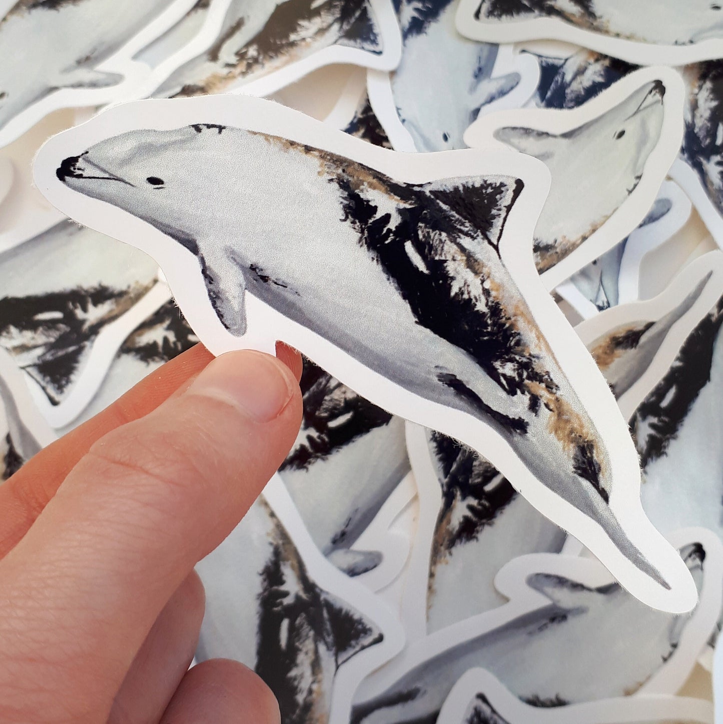 Heaviside's Dolphin Stickers