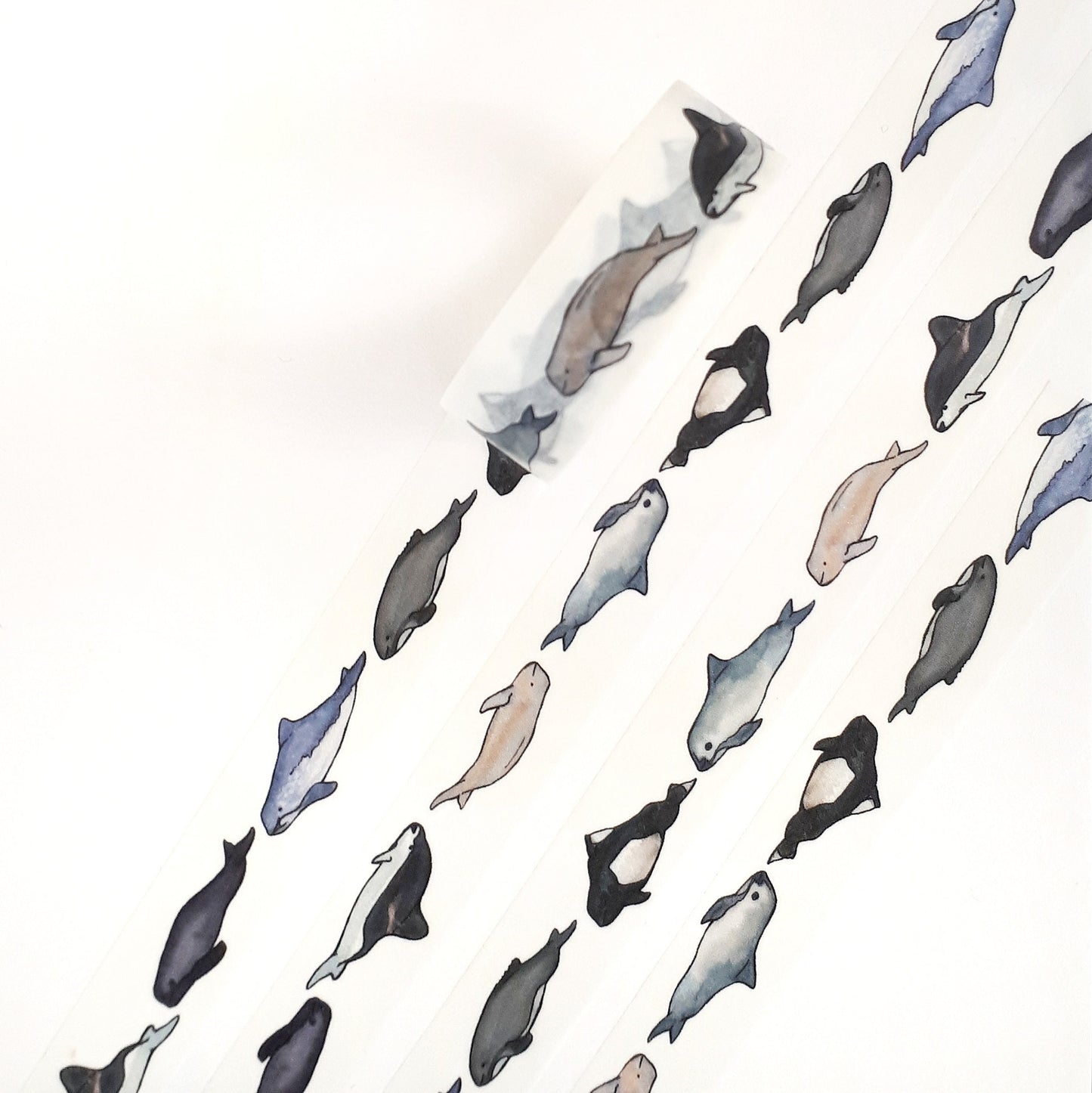 Porpoise Washi Tape
