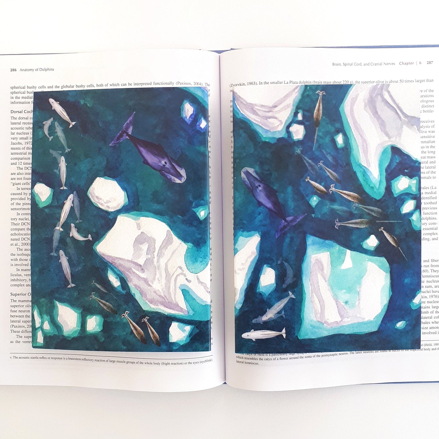 Arctic Whales A5 Notebook