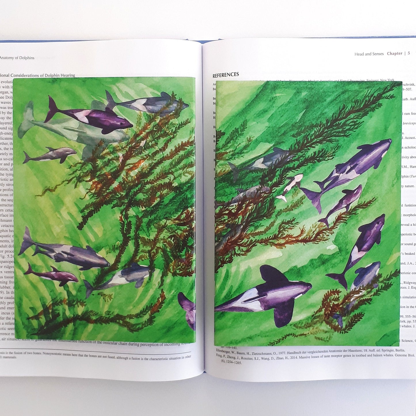 Orca Family A5 Notebook