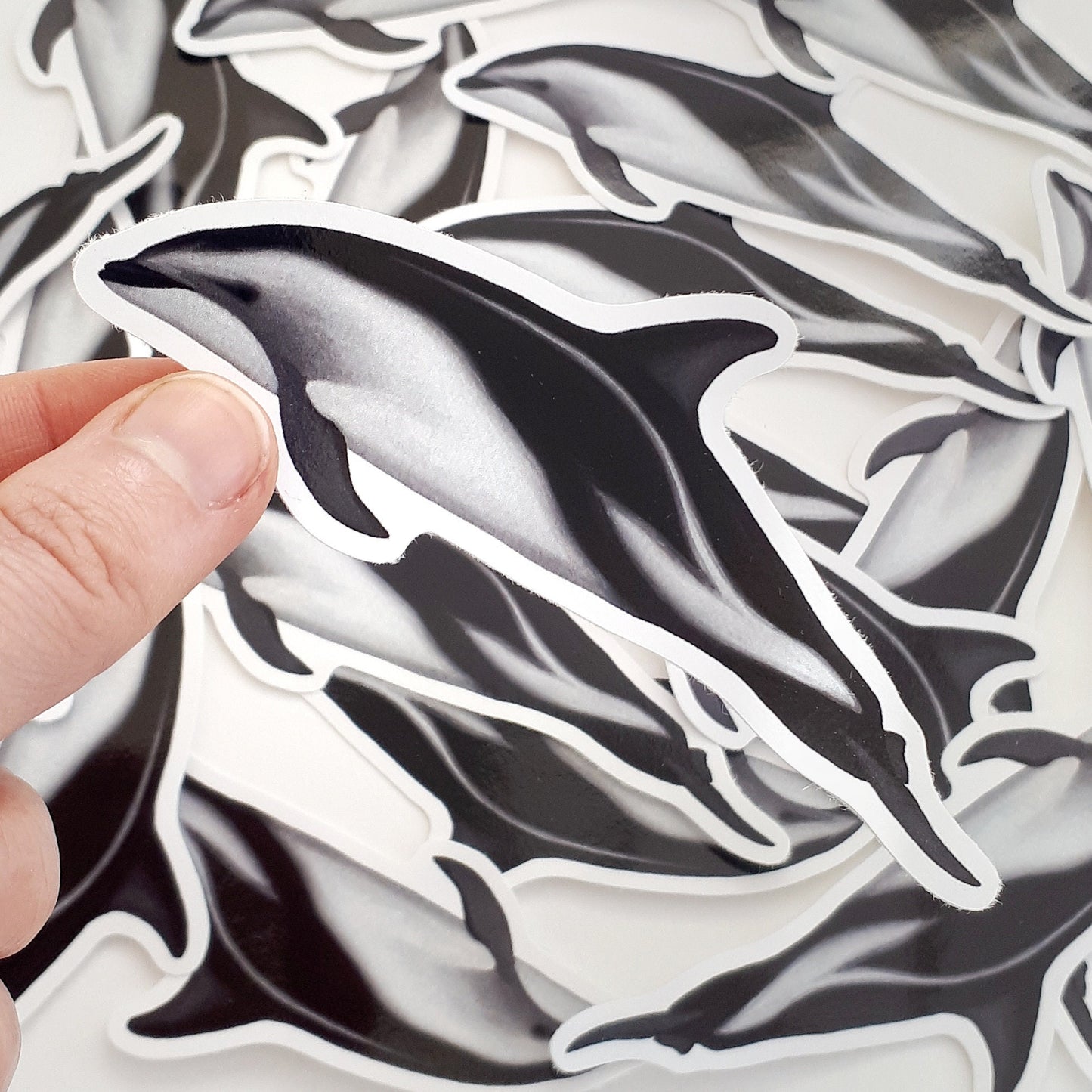Dusky Dolphin Sticker