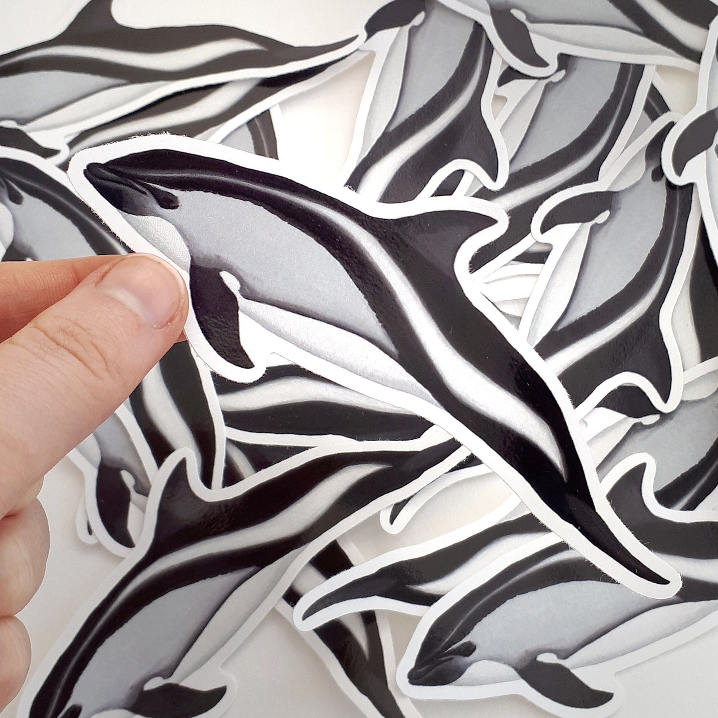 Peale's Dolphin Sticker