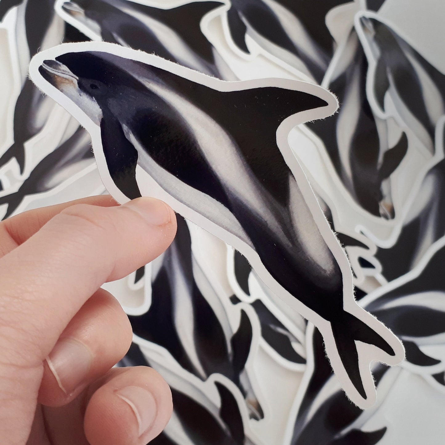 White Beaked Dolphin Sticker