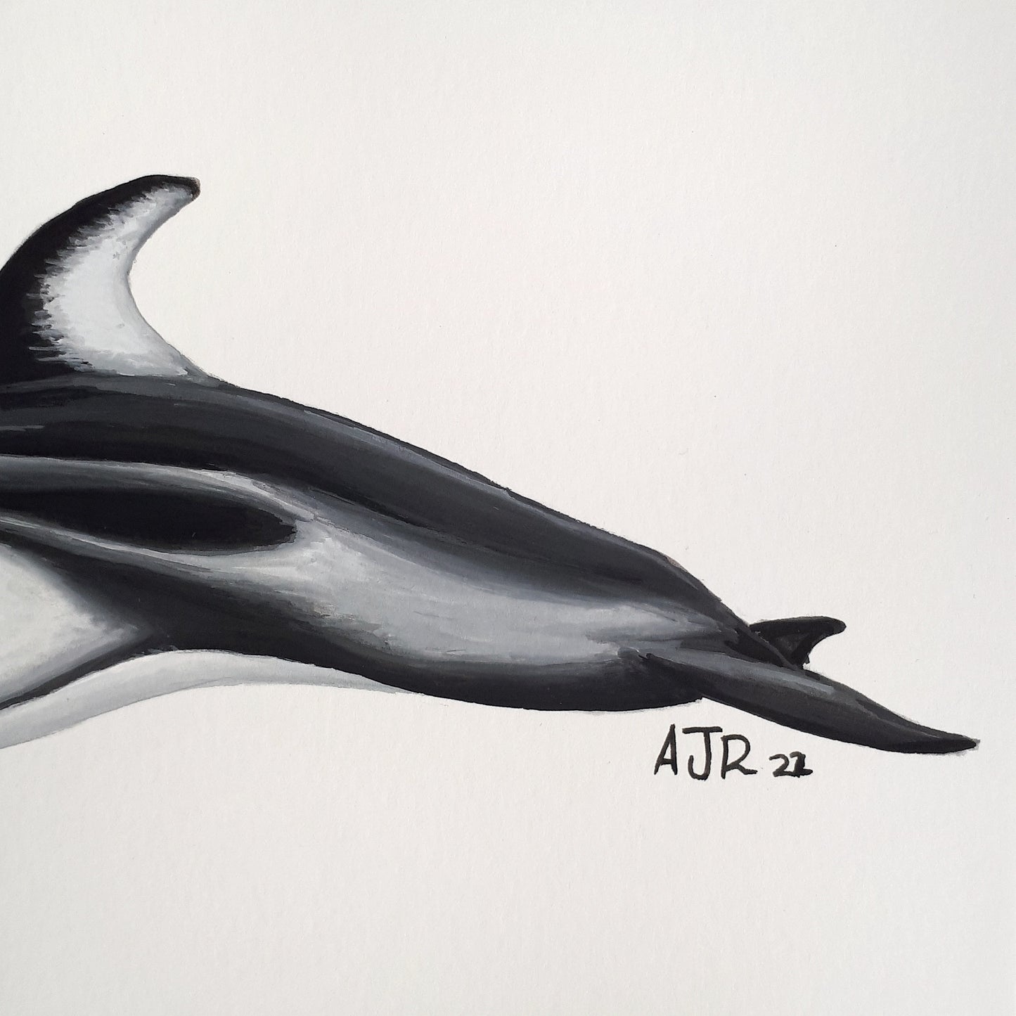 Pacific White Sided Dolphin A5 Original Painting