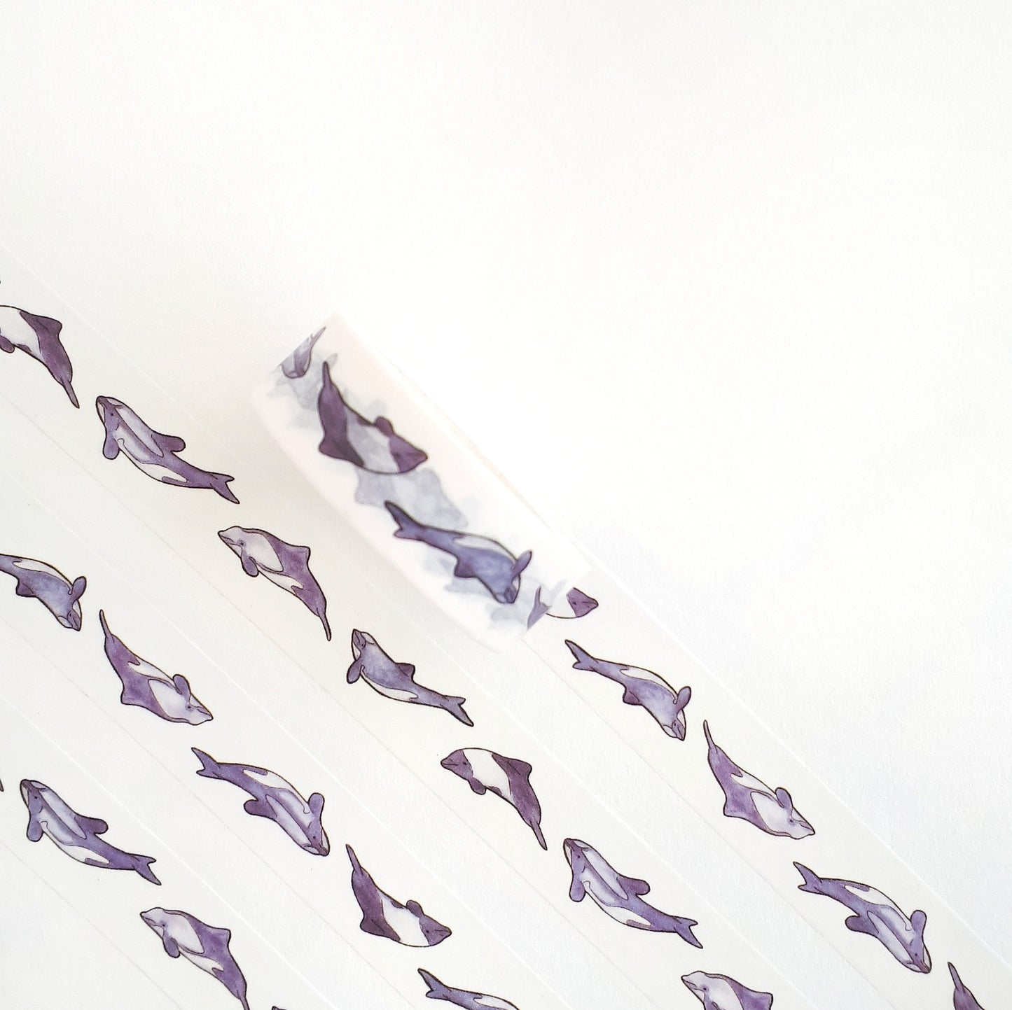 Cephalorhynchus Washi Tape
