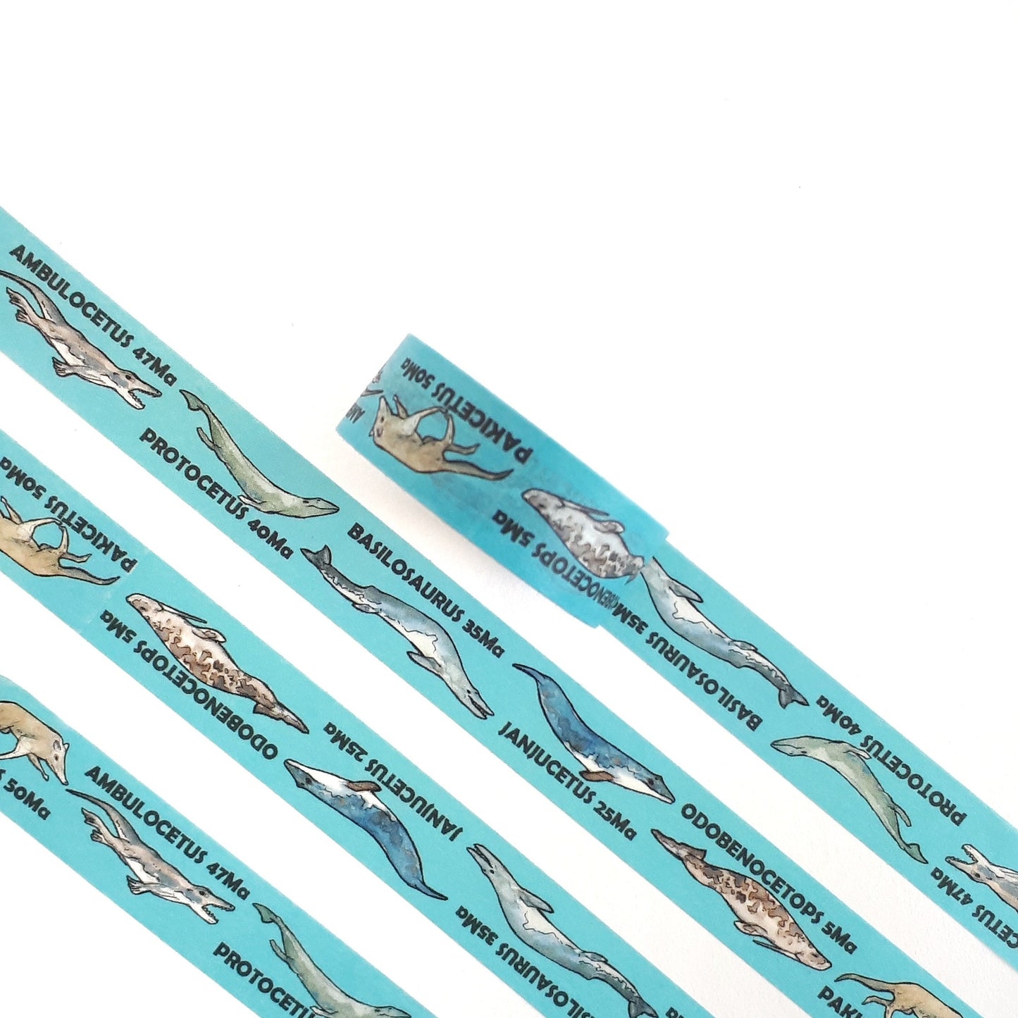 Whale Evolution Washi Tape