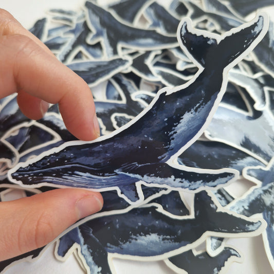 Humpback Whale Sticker