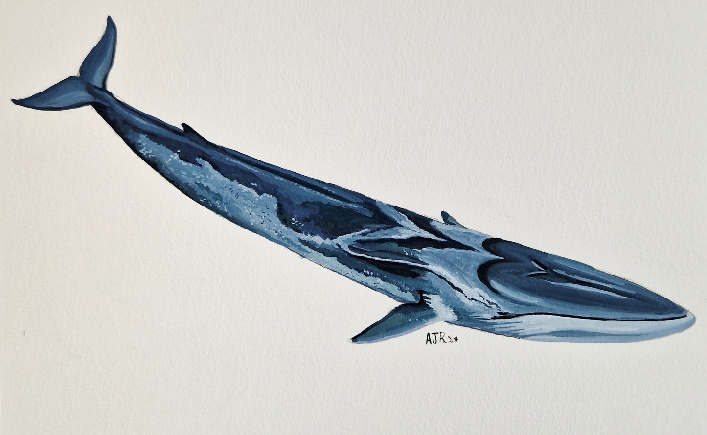 Fin Whale Original Painting