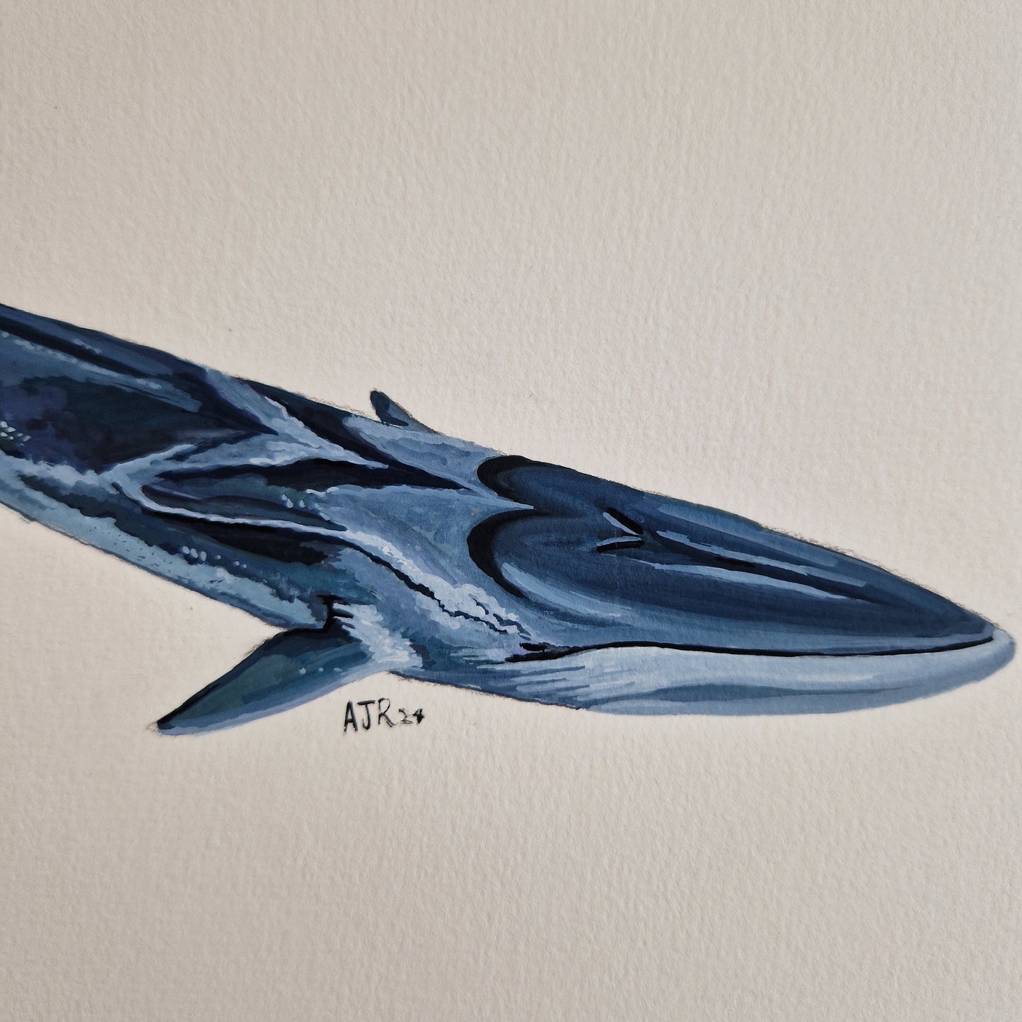 Fin Whale Original Painting